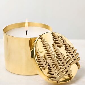 CB2 Cedarwood + Tobacco Scented Candle 14oz with Unlacquered Brass Lid